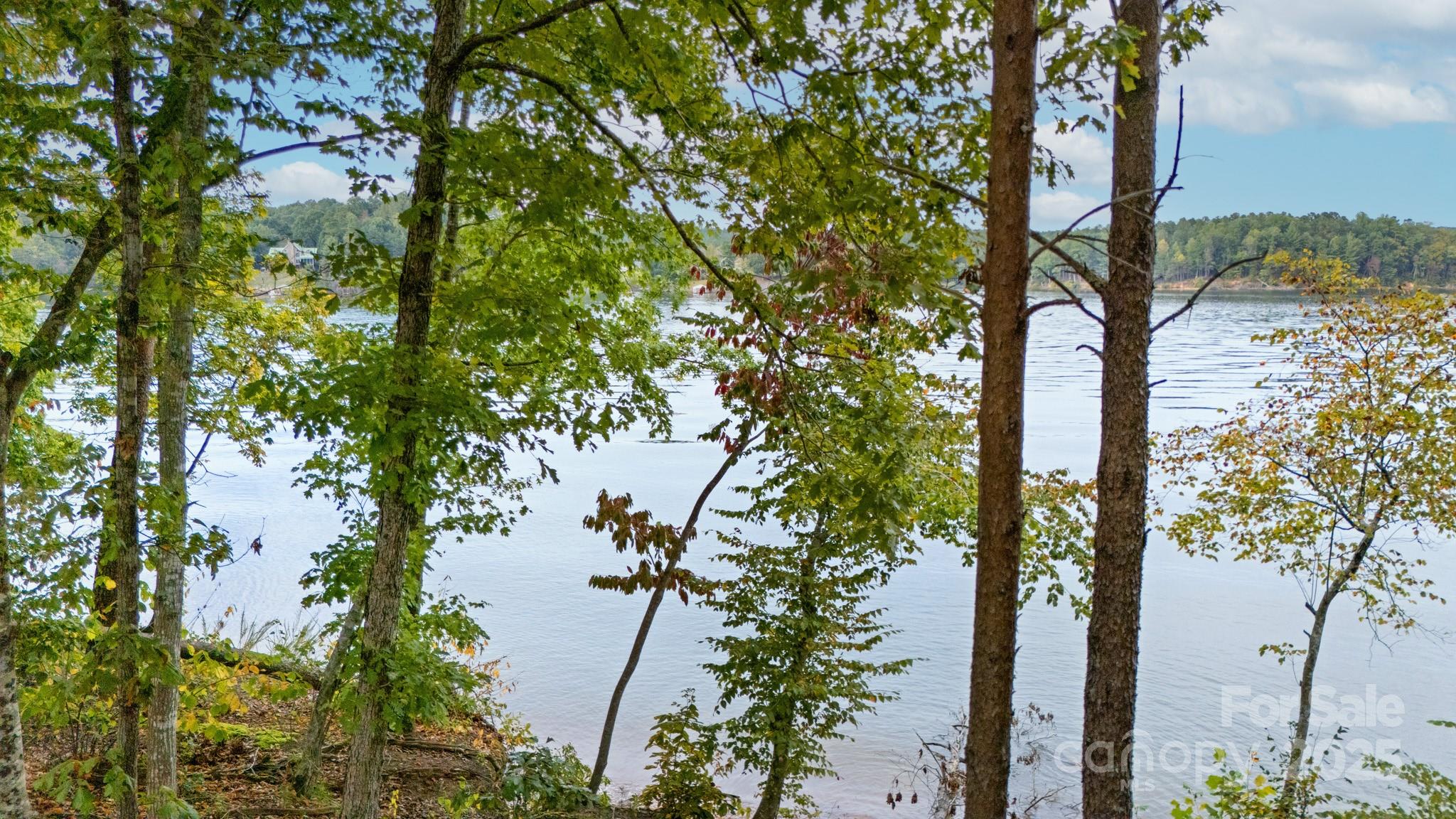 4083 Grays Peak Summit Unit: 169