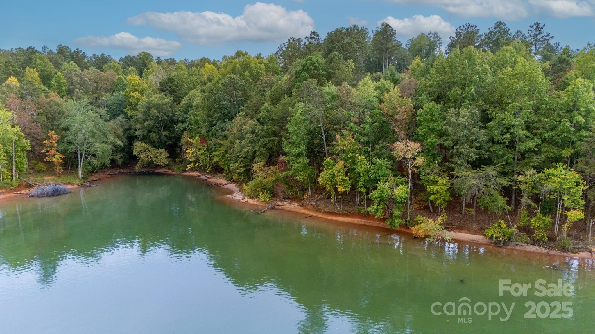 4083 Grays Peak Summit Unit: 169