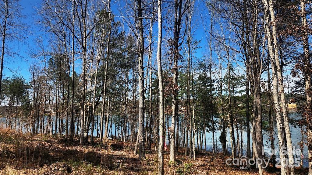 4083 Grays Peak Summit Unit: 169