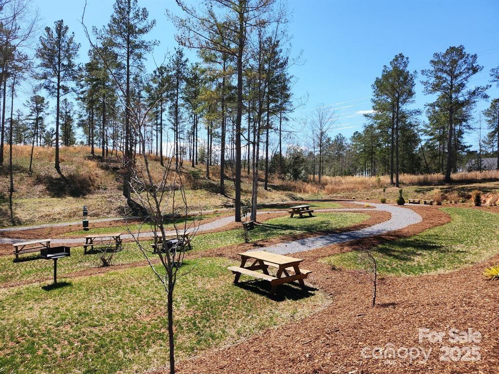 4083 Grays Peak Summit Unit: 169