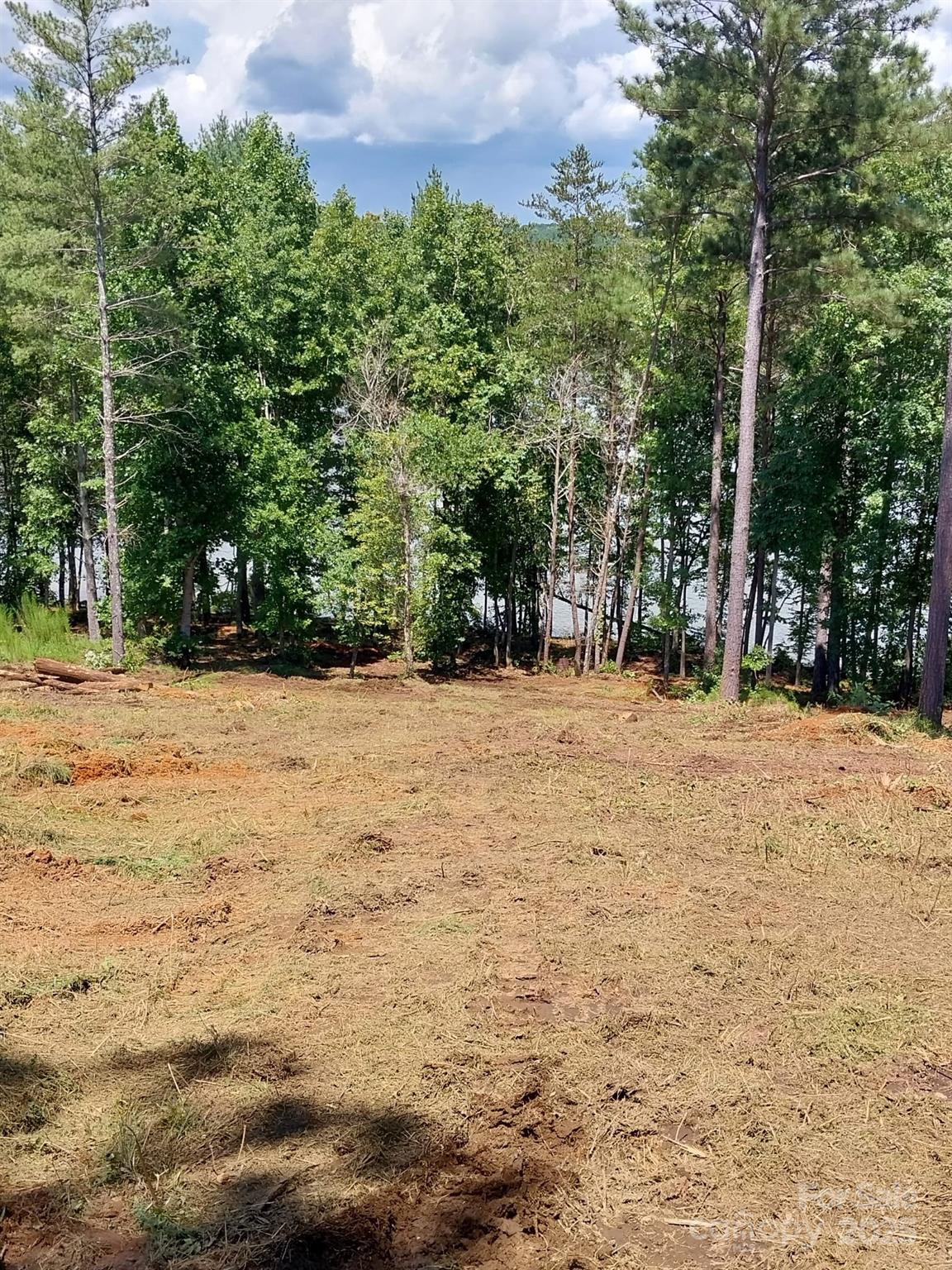 4083 Grays Peak Summit Unit: 169