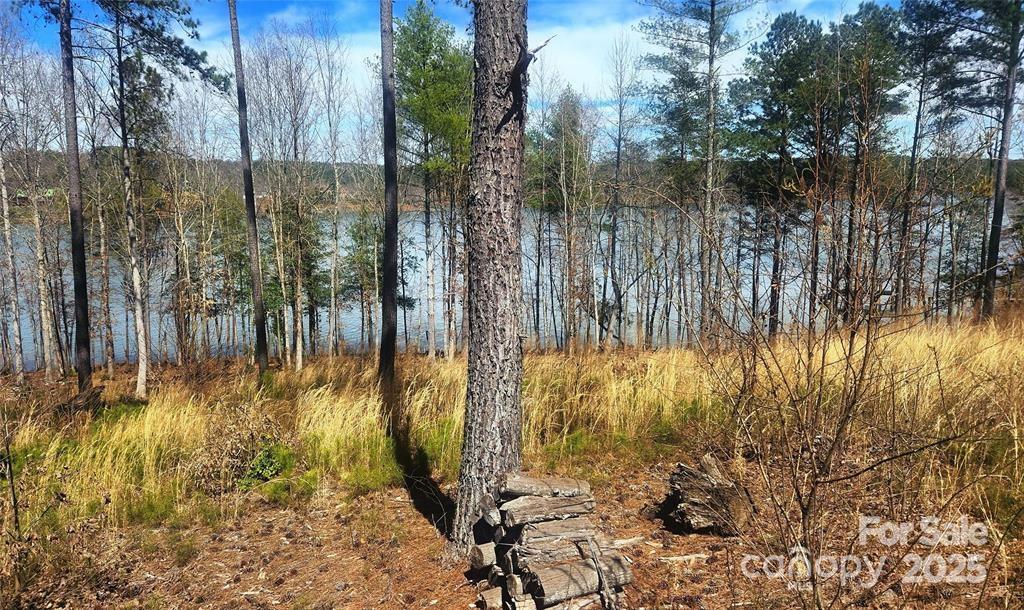 4083 Grays Peak Summit Unit: 169