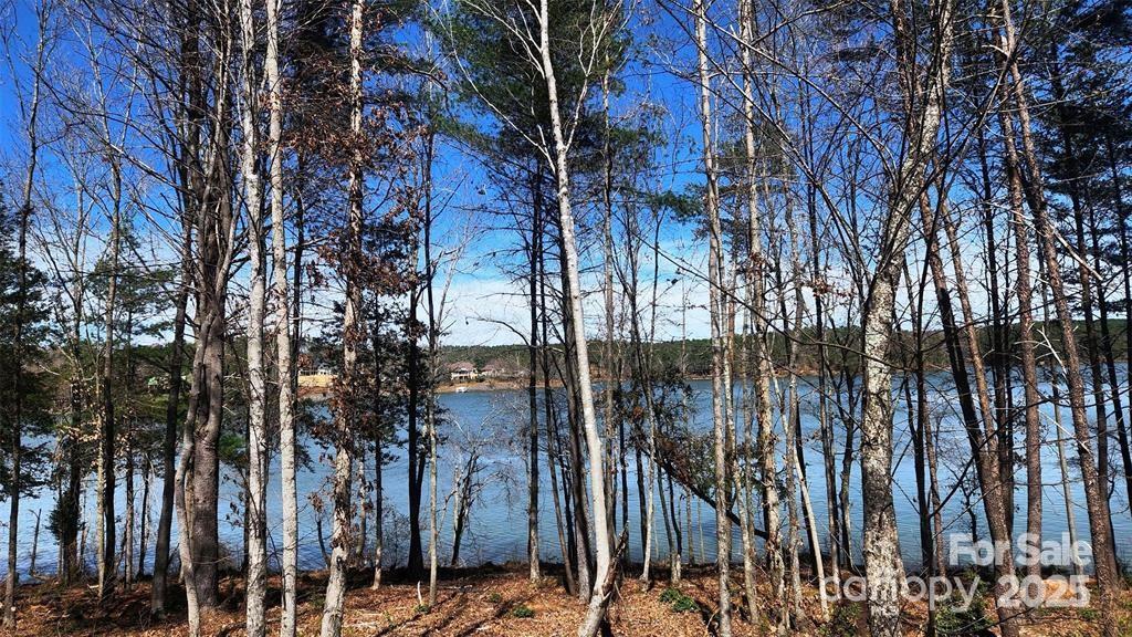 4083 Grays Peak Summit Unit: 169