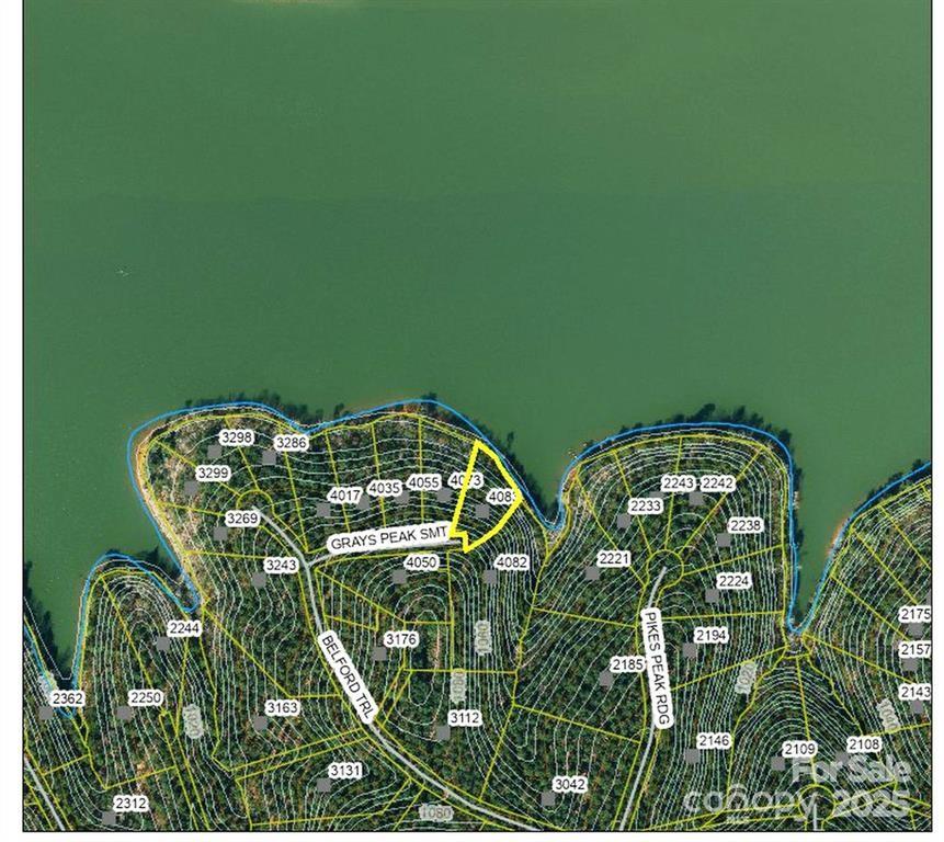 4083 Grays Peak Summit Unit: 169