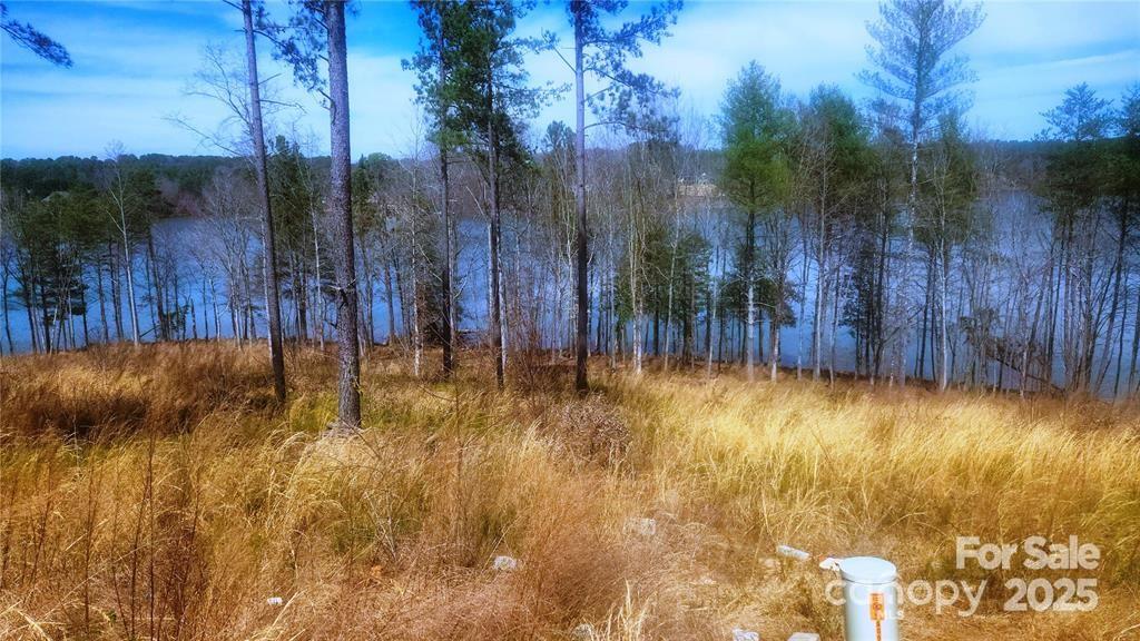 4083 Grays Peak Summit Unit: 169