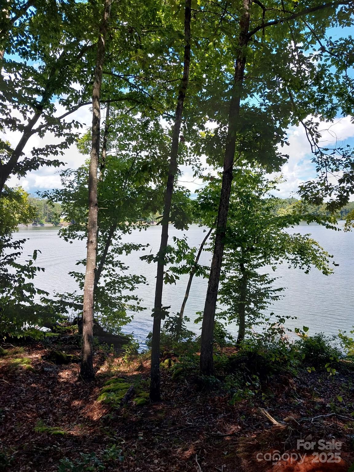 4083 Grays Peak Summit Unit: 169