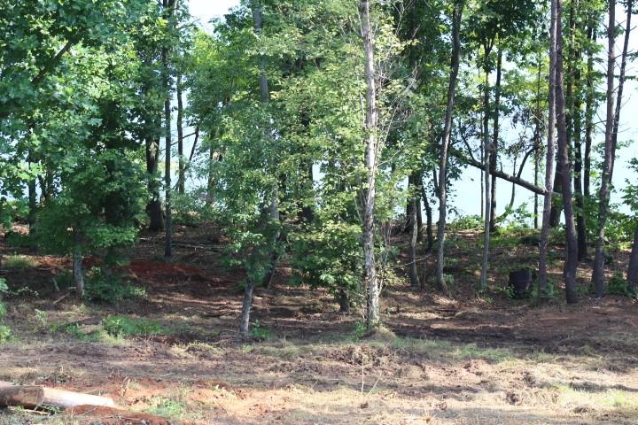 4083 Grays Peak Summit Unit: 169