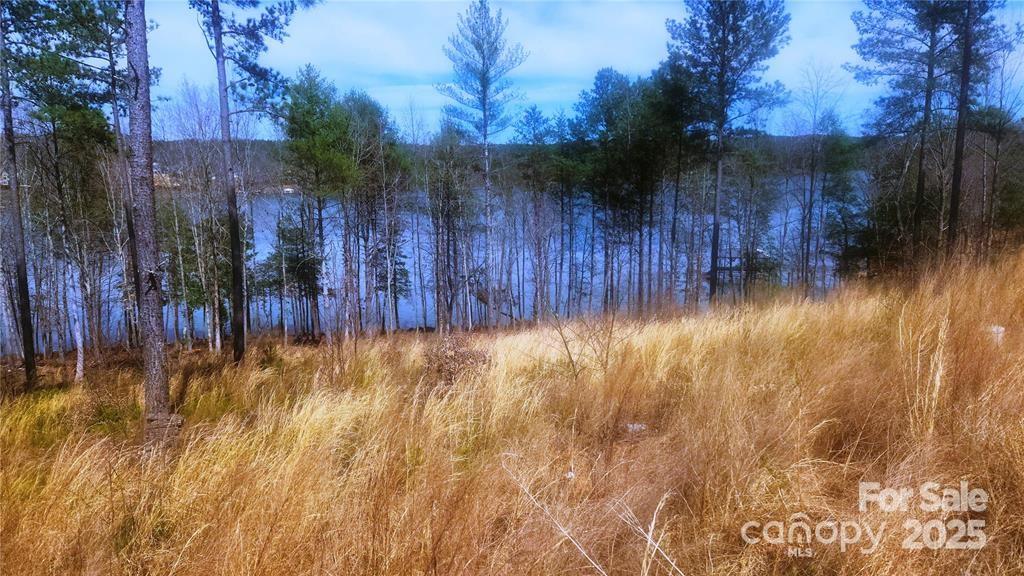 4083 Grays Peak Summit Unit: 169