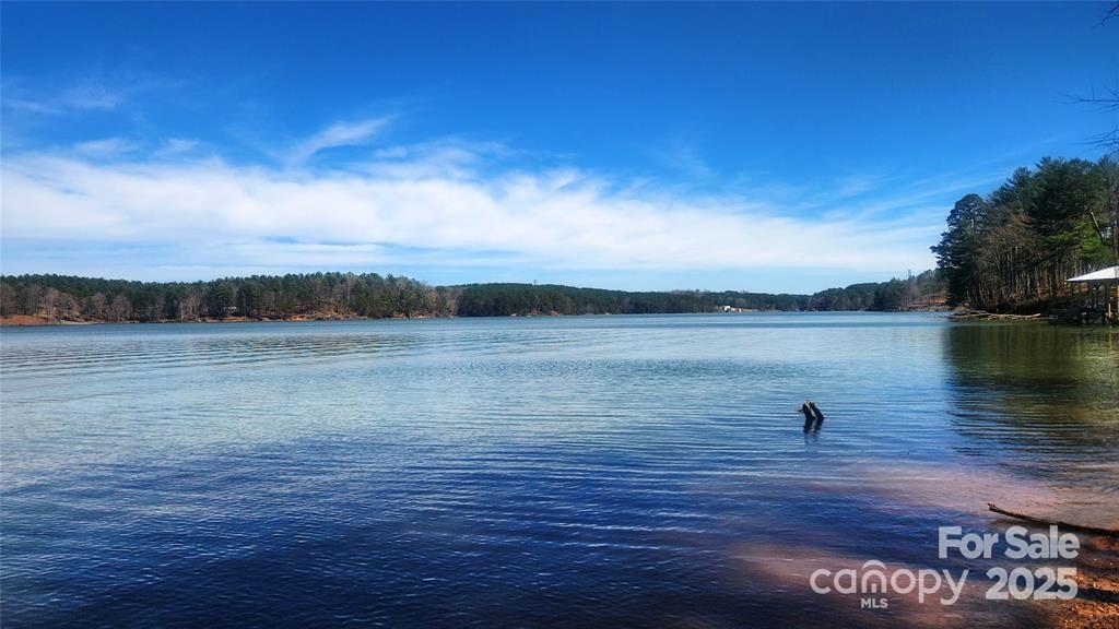 4083 Grays Peak Summit Unit: 169