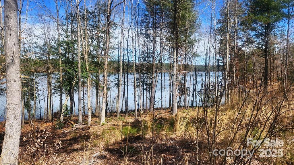 4083 Grays Peak Summit Unit: 169