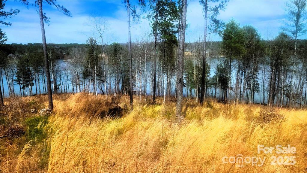 4083 Grays Peak Summit Unit: 169