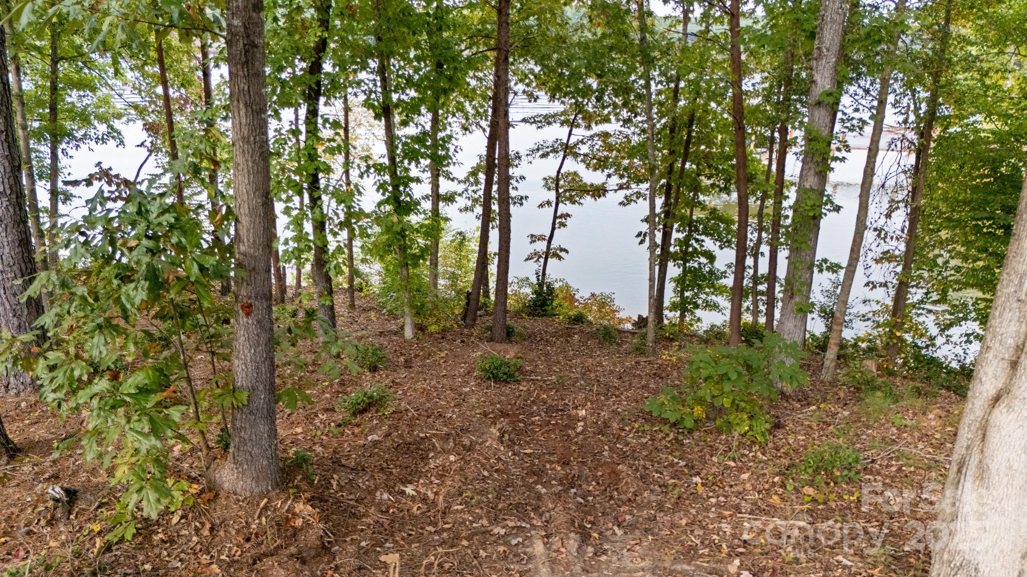 4083 Grays Peak Summit Unit: 169