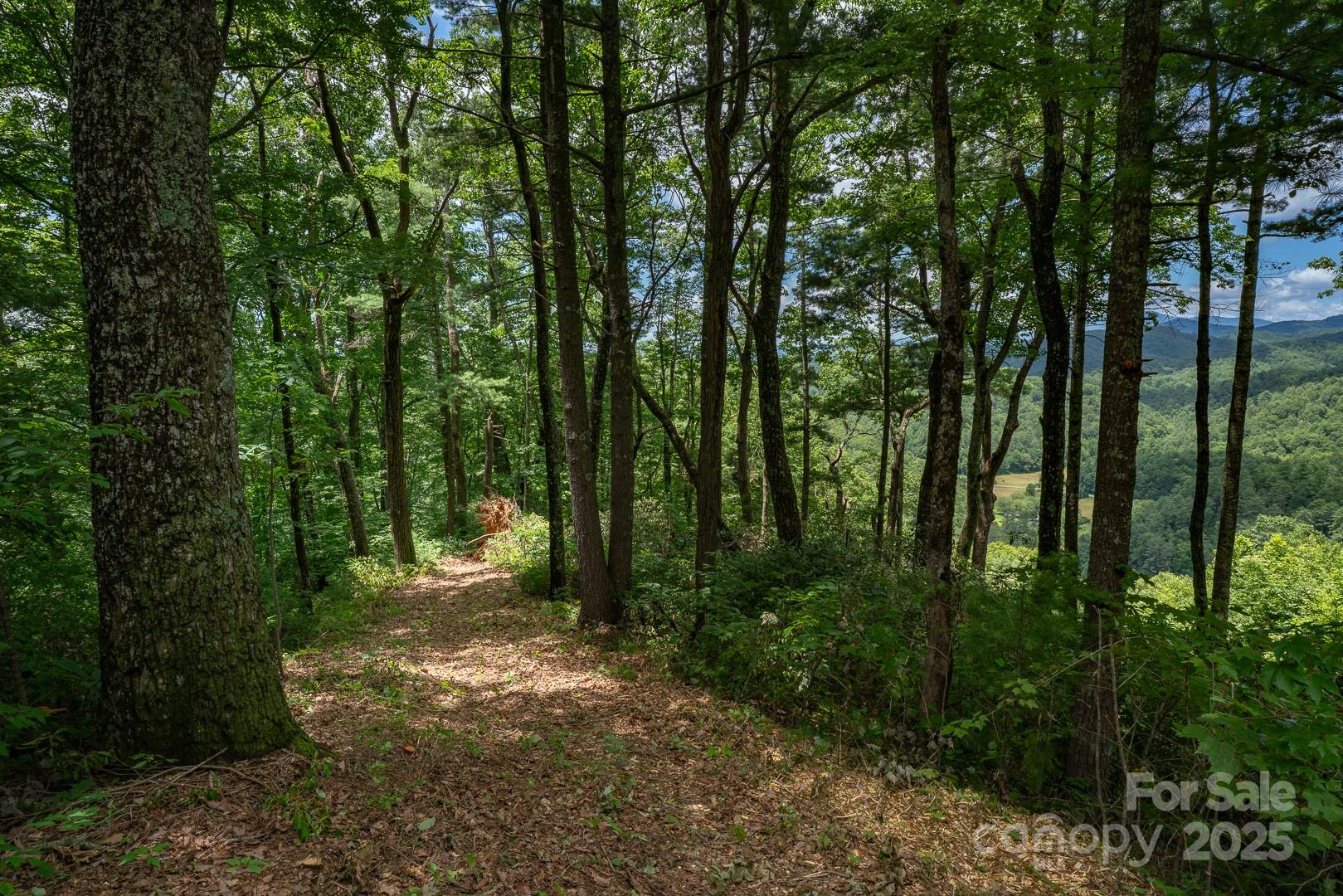 TBD Autumn Ridge Drive