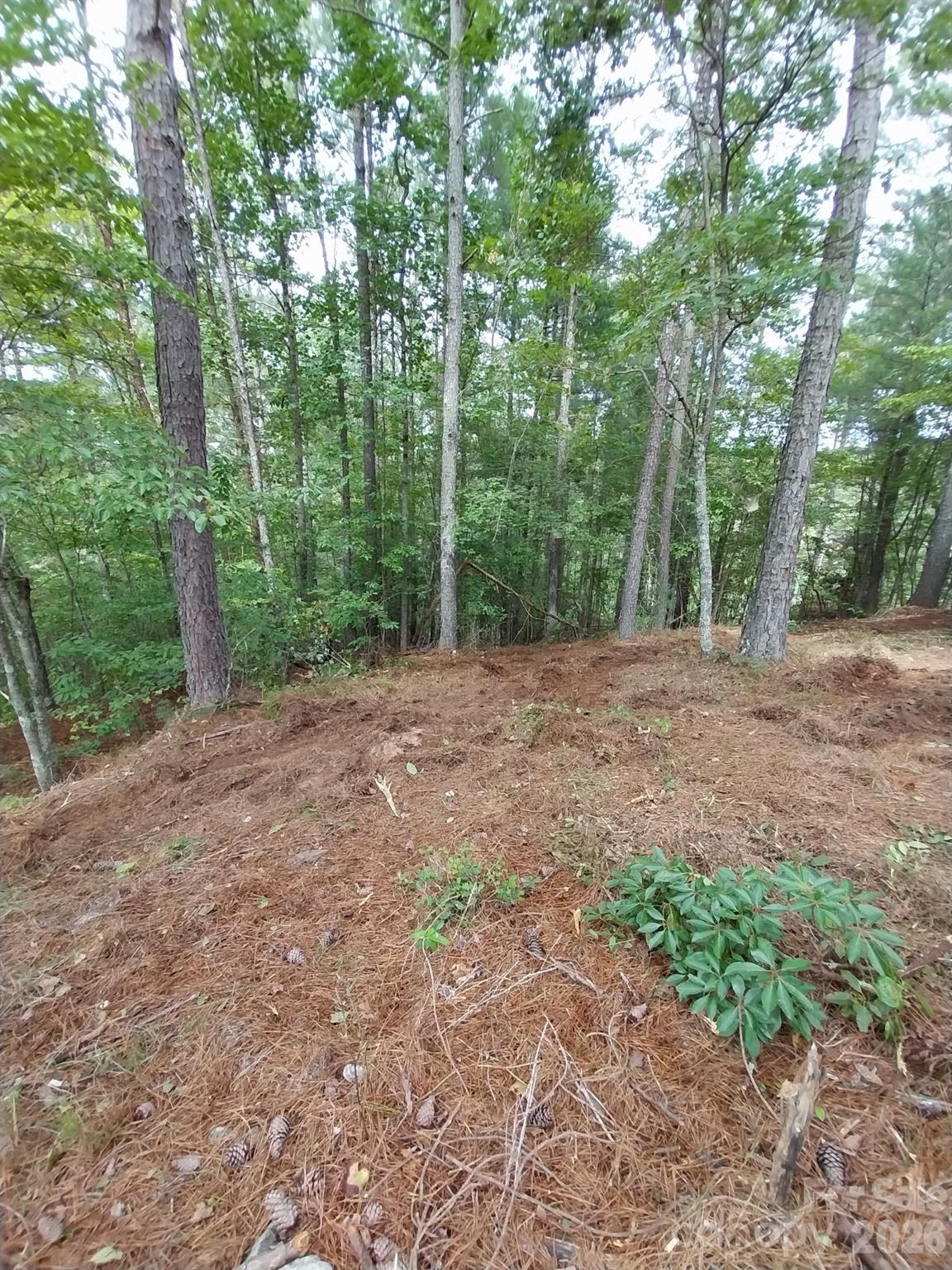 2254 Anchor Lane