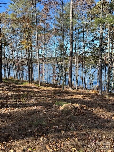 2242 Pikes Peak Ridge Unit: 159