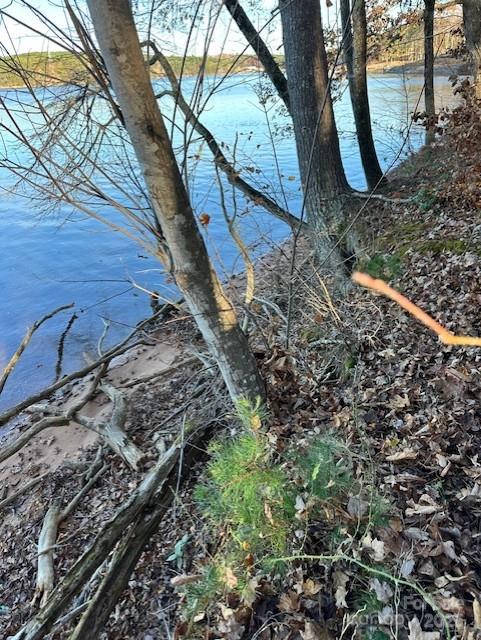 2242 Pikes Peak Ridge Unit: 159