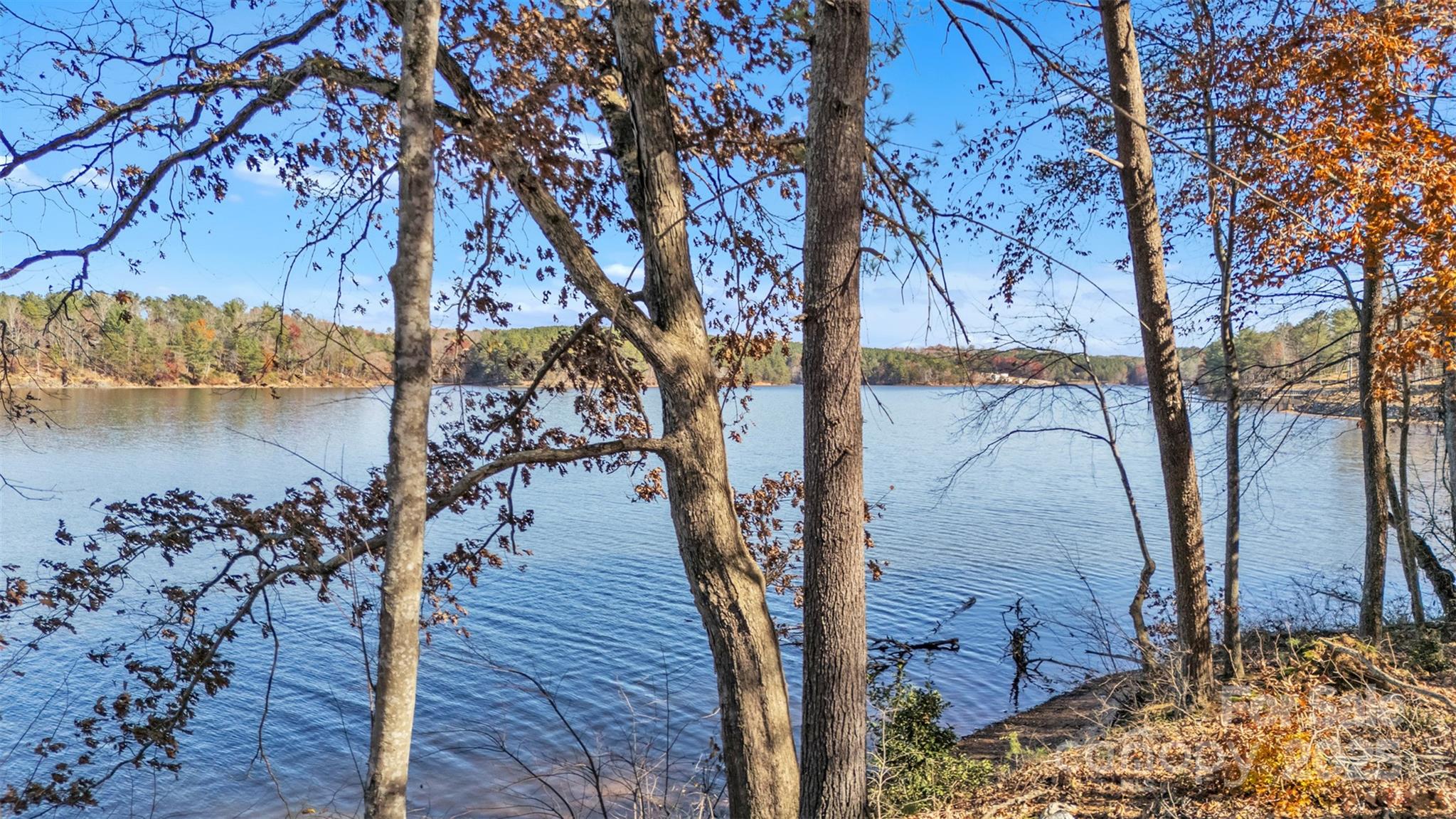 2242 Pikes Peak Ridge Unit: 159