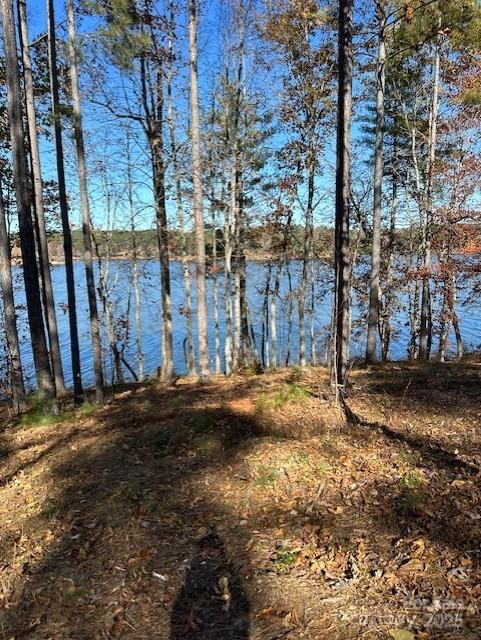 2242 Pikes Peak Ridge Unit: 159