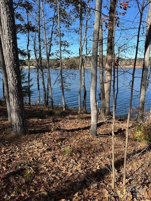 2242 Pikes Peak Ridge Unit: 159