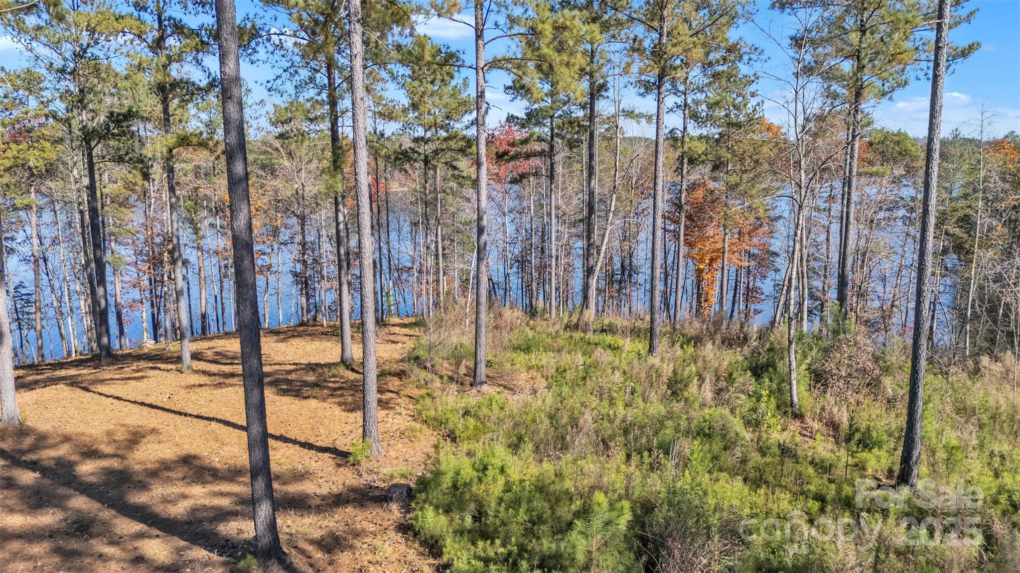 2242 Pikes Peak Ridge Unit: 159