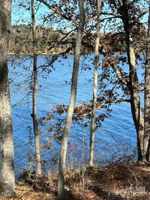 2242 Pikes Peak Ridge Unit: 159