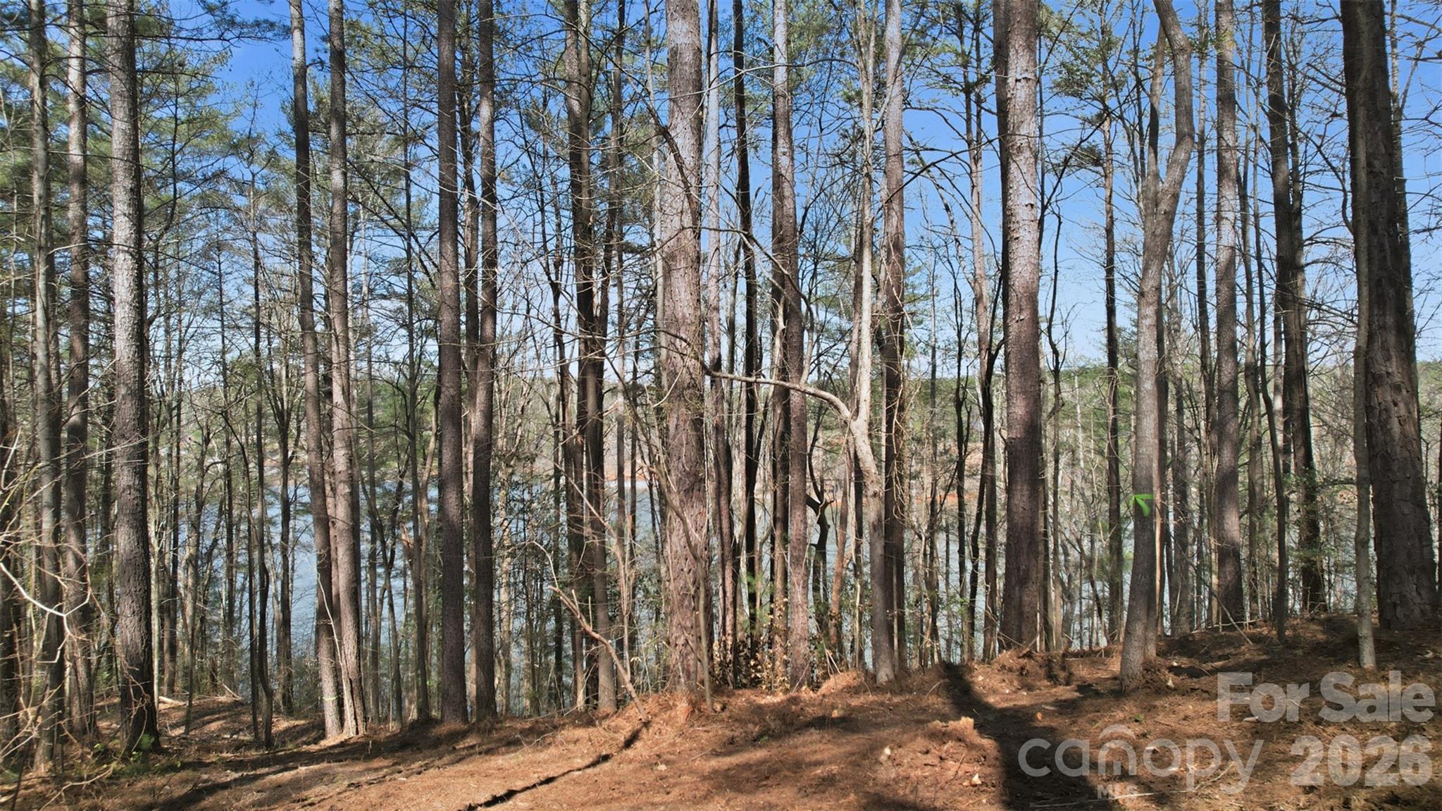 211 Ridge Top Drive Unit: 11