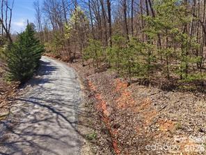 TBD Ridge Creek Drive Unit: 6,4,7