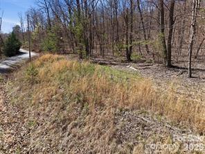 TBD Ridge Creek Drive Unit: 6,4,7
