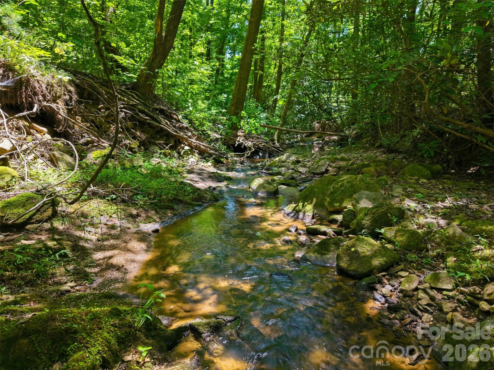 TBD Basin Creek Drive Unit: 14