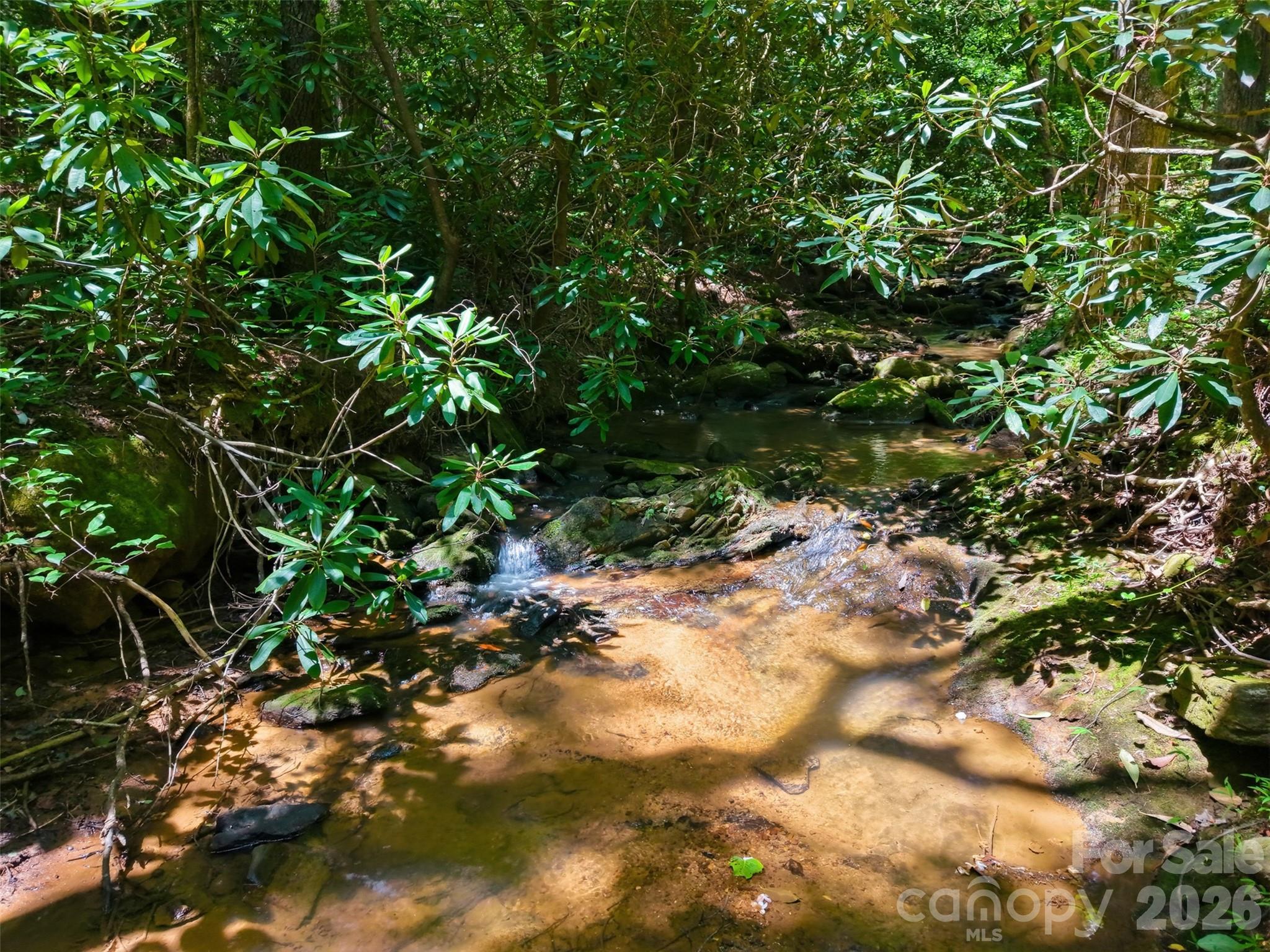 TBD Basin Creek Drive Unit: 14