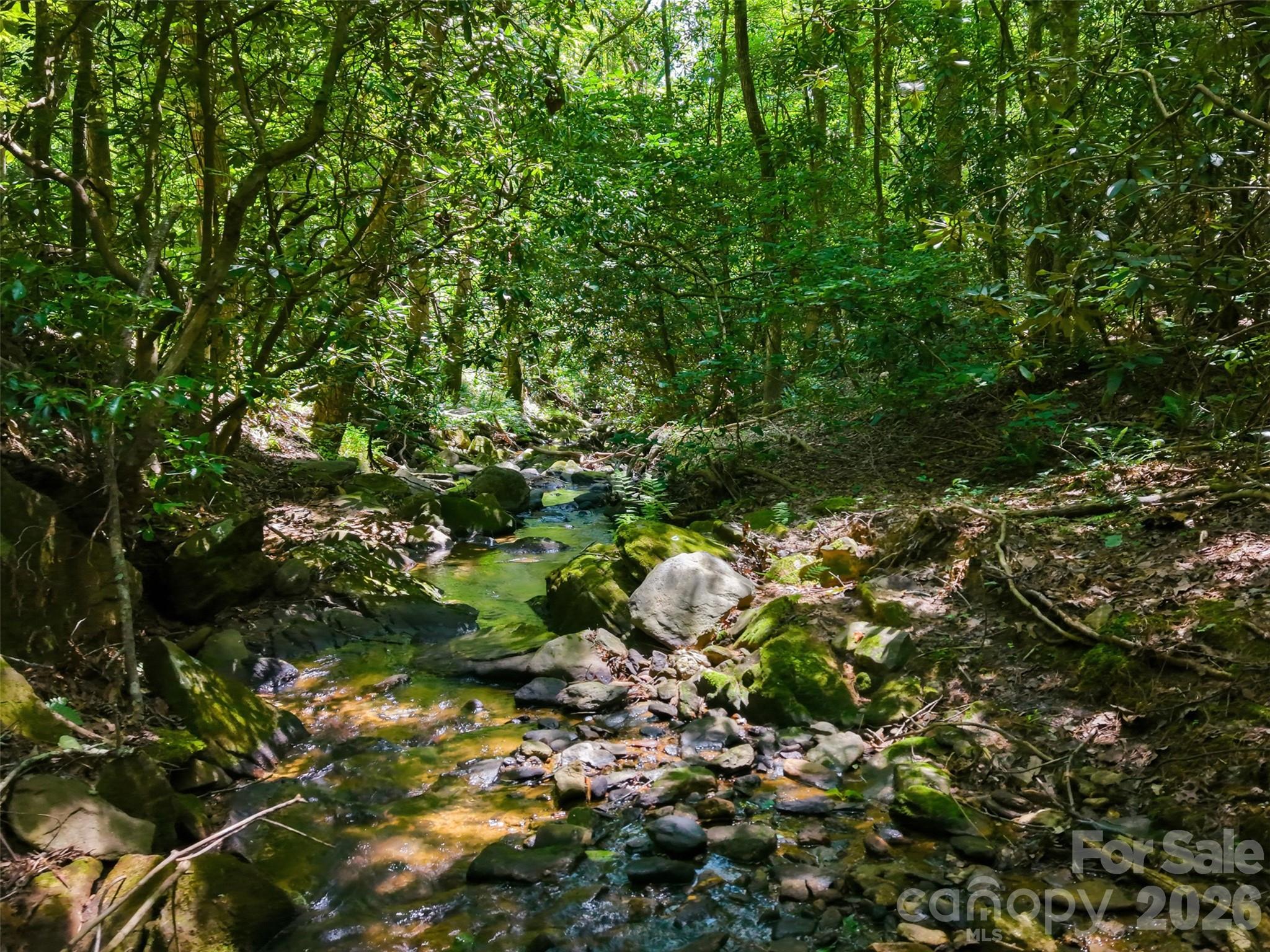 TBD Basin Creek Drive Unit: 14