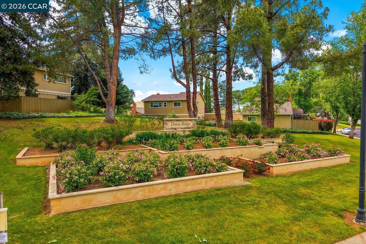 599 Mt Dell Dr
