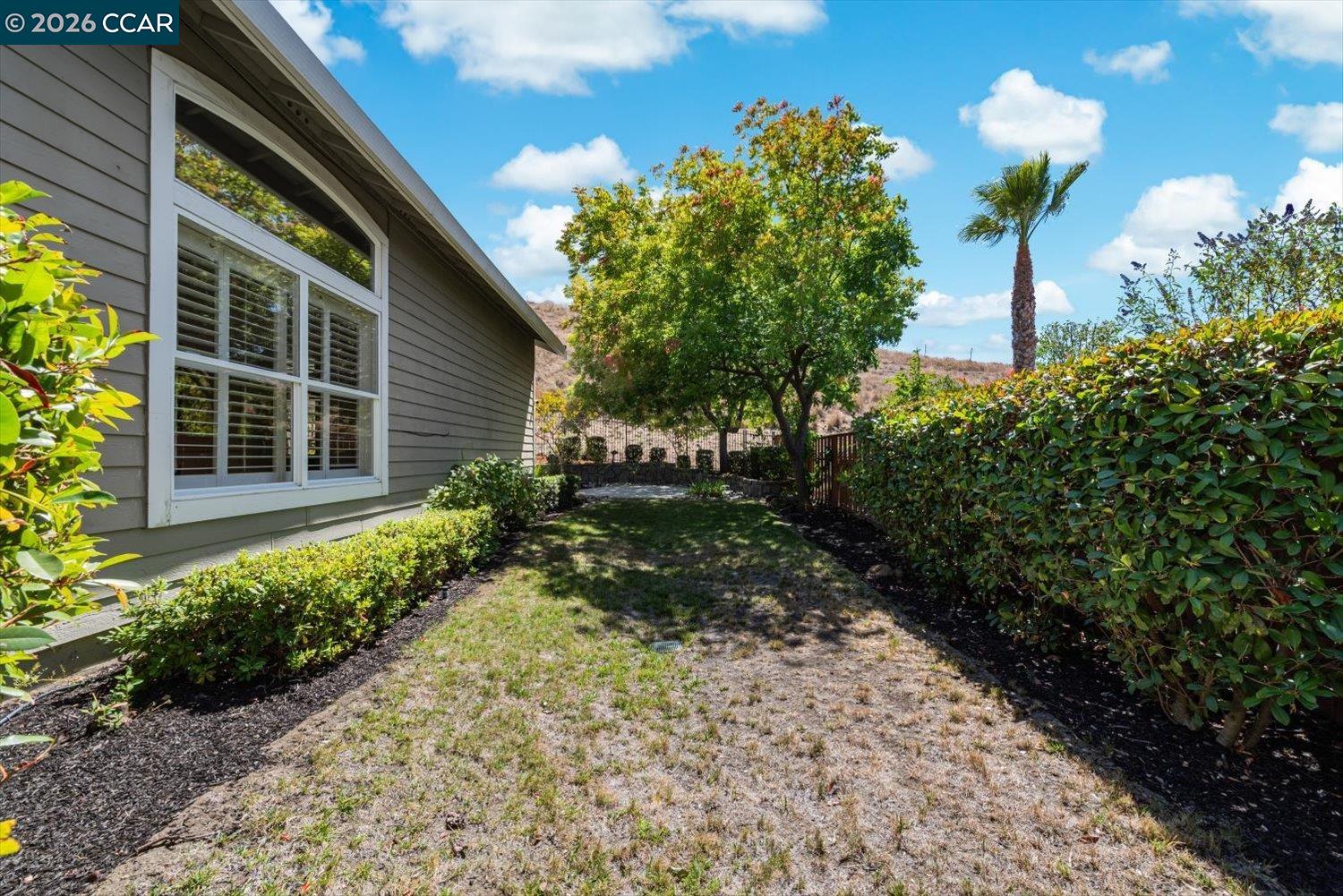 1116 Peacock Creek Dr