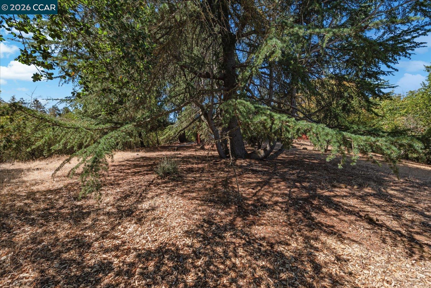 4848 Venner Rd