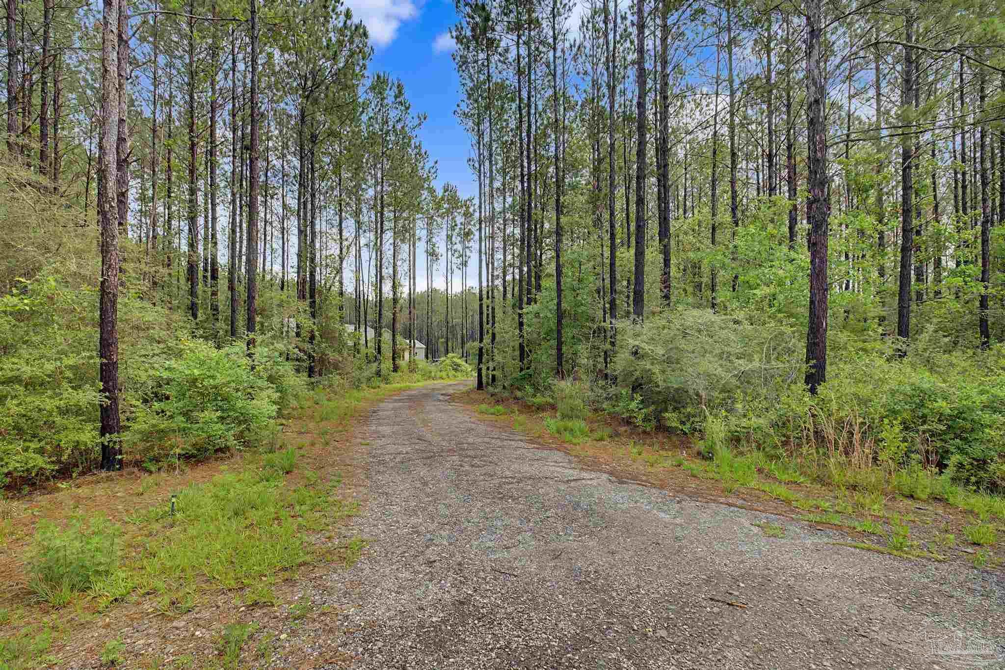 1918 Pineview Church Rd
