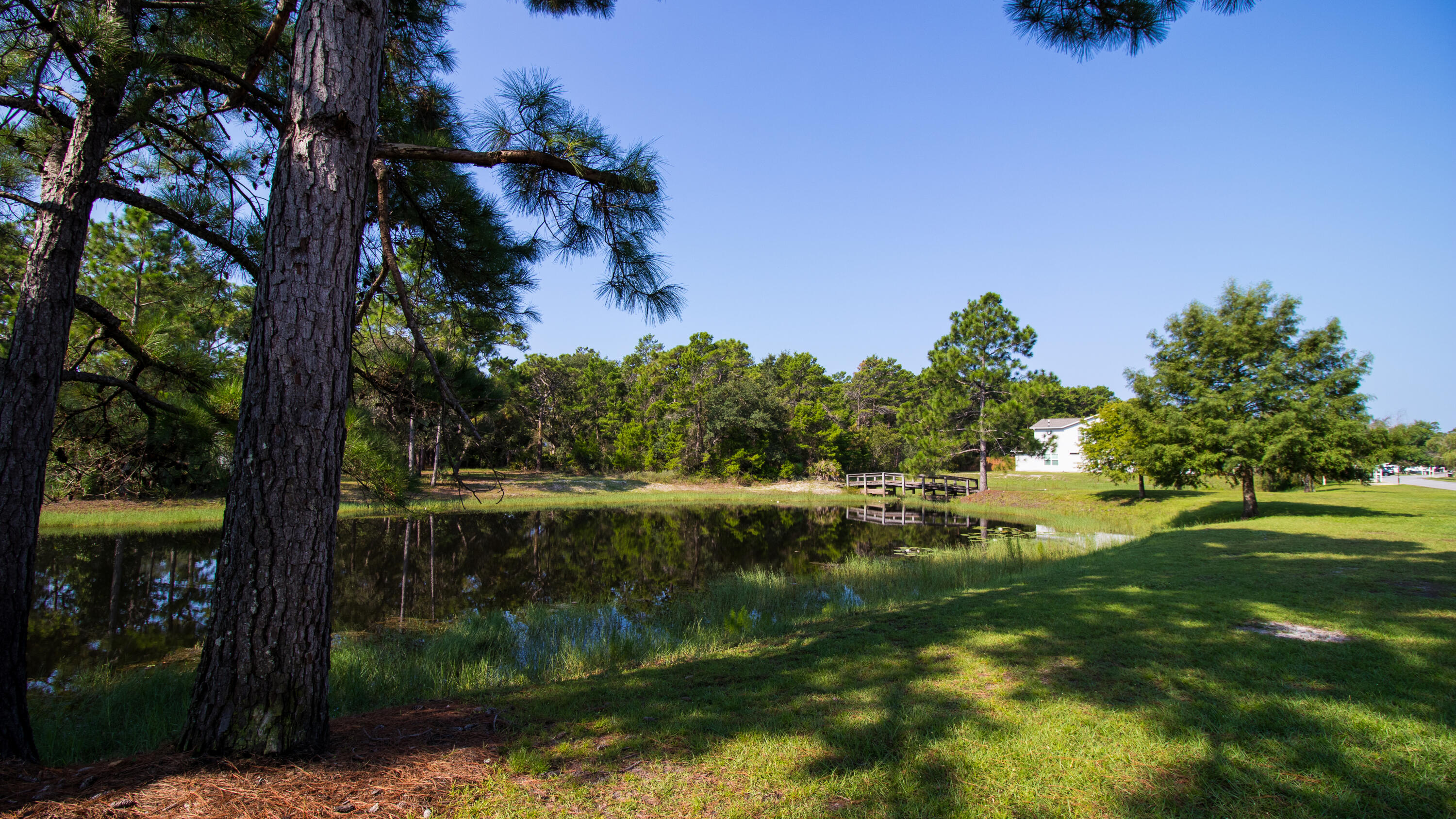 50 Vía Largo, UNIT 8-B