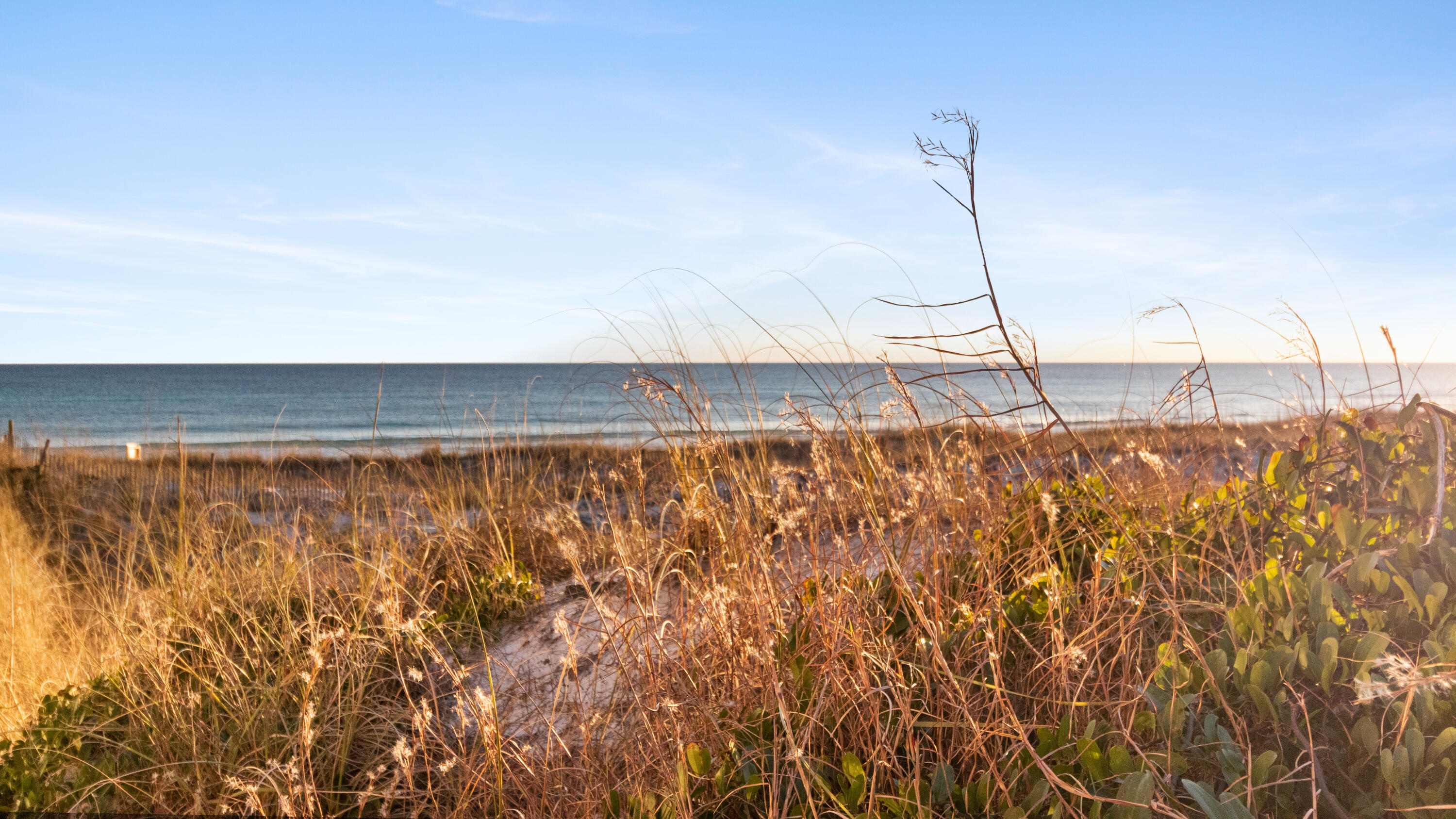 100 Matthew Boulevard, 313