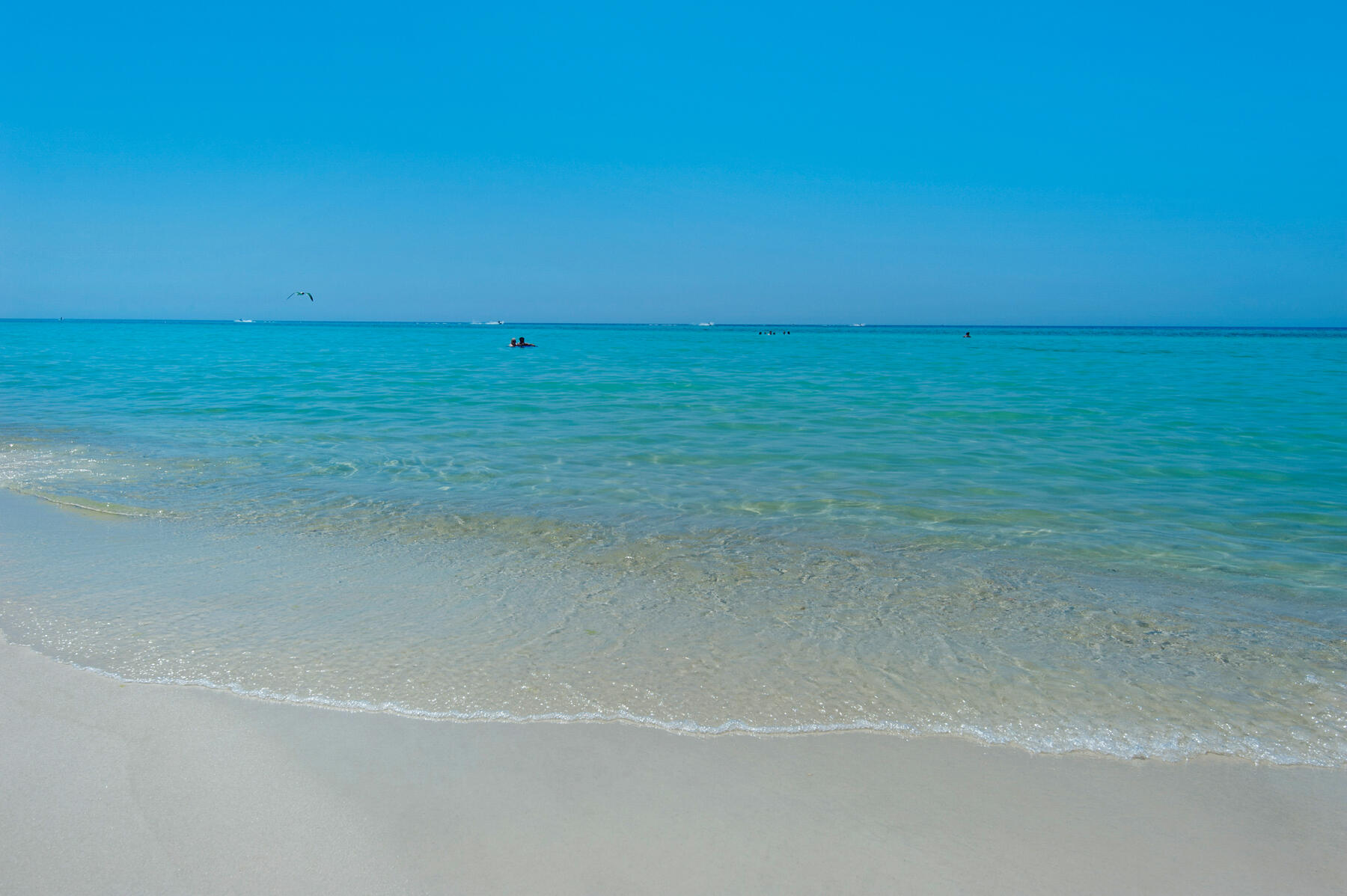 10519 Front Beach Road, UNIT 601A