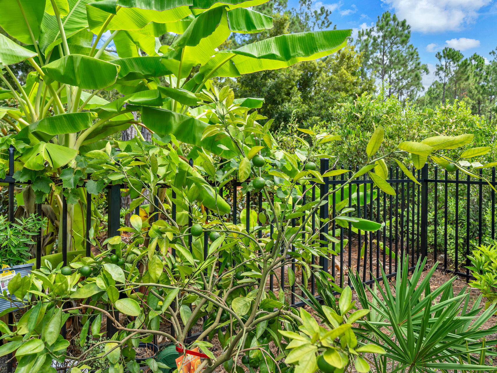 61 Sweet Breeze Drive