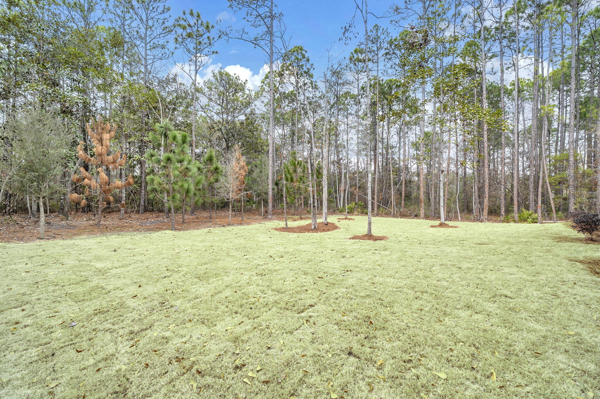 123 W Captain Fritz Way