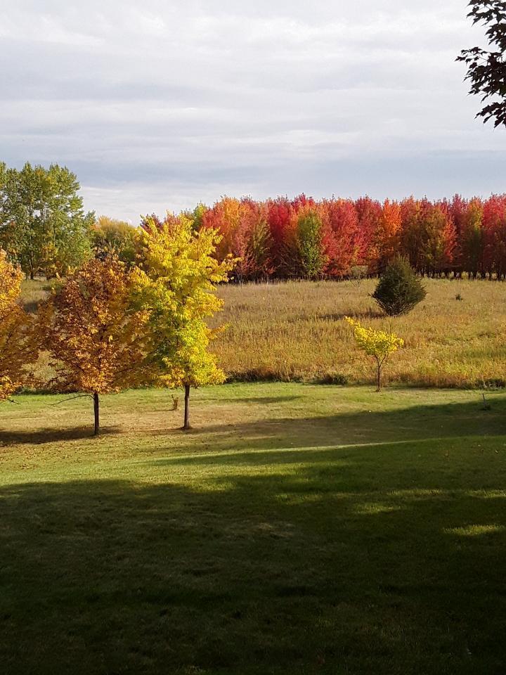 3711 Bavaria Rd, Chaska, MN