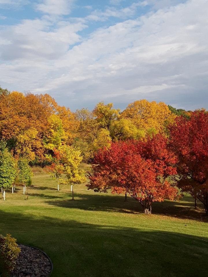 3711 Bavaria Rd, Chaska, MN