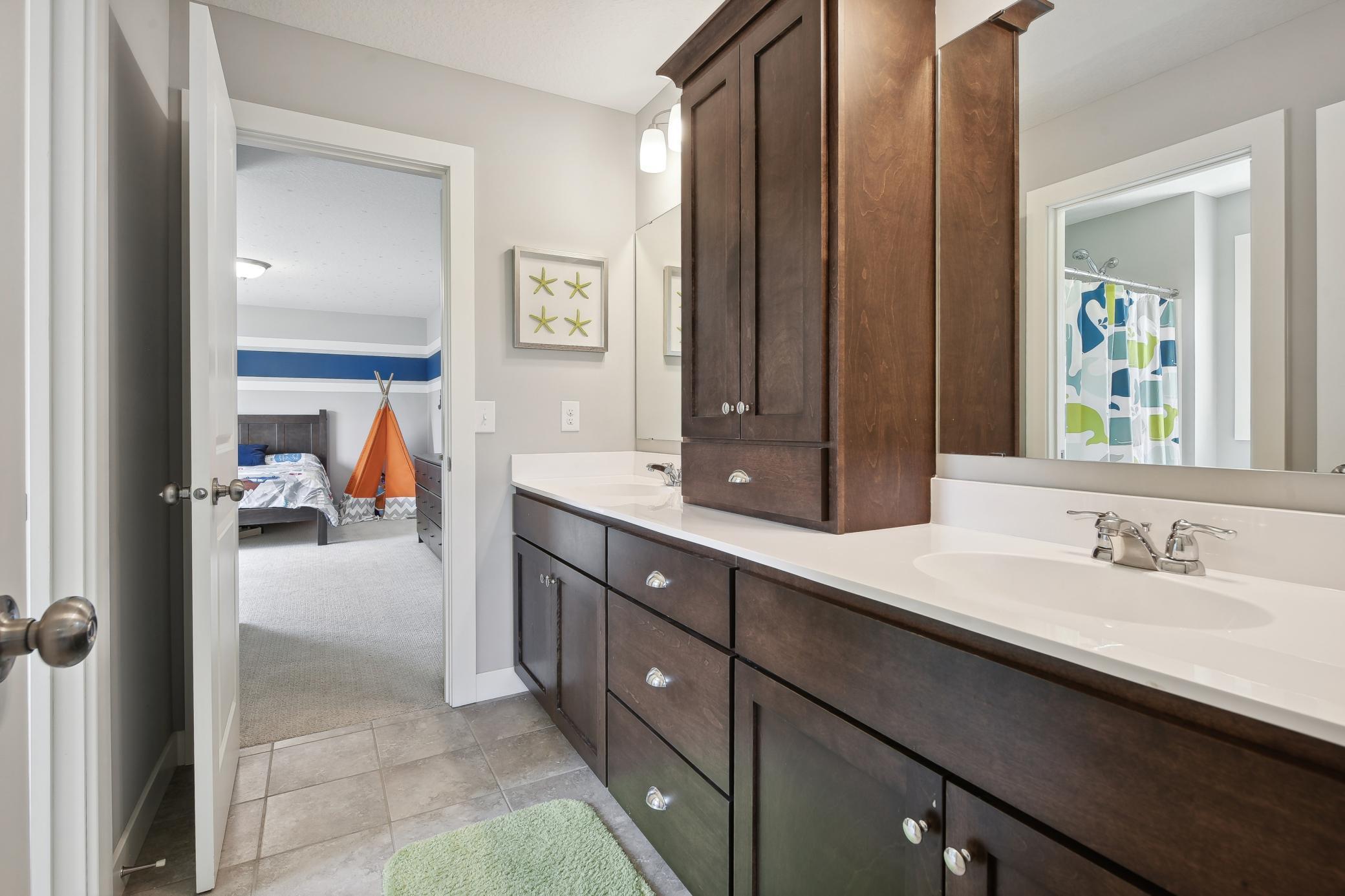 3960 Painted Sky Trail, Chaska MN