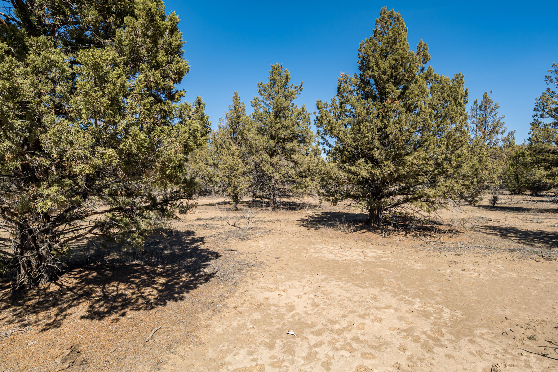17945 SW Chaparral Drive, Lot 467