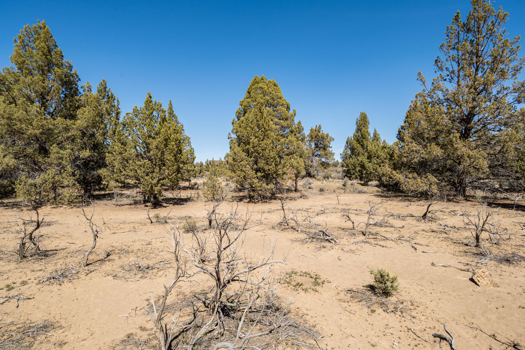 17945 SW Chaparral Drive, Lot 467