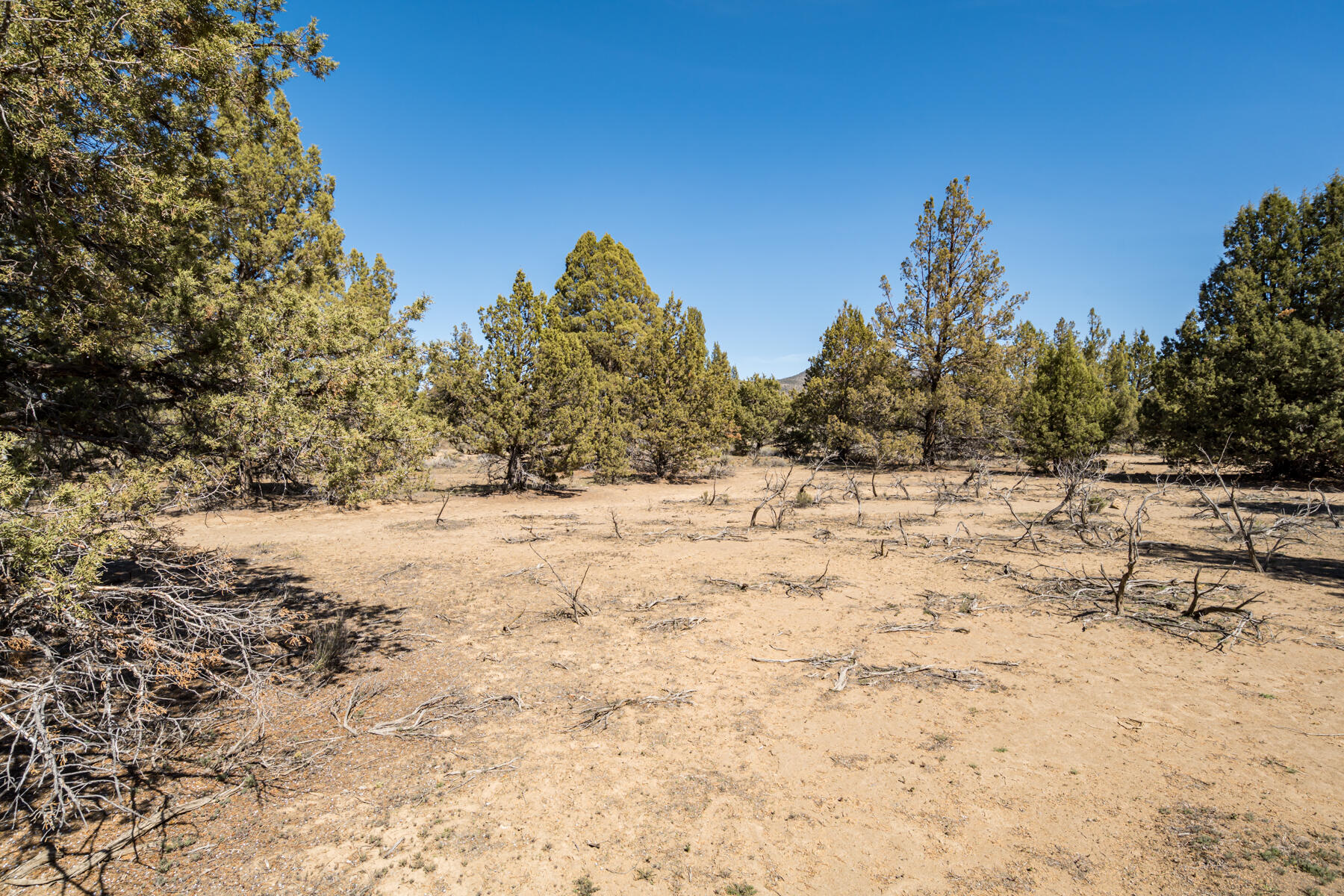 17945 SW Chaparral Drive, Lot 467