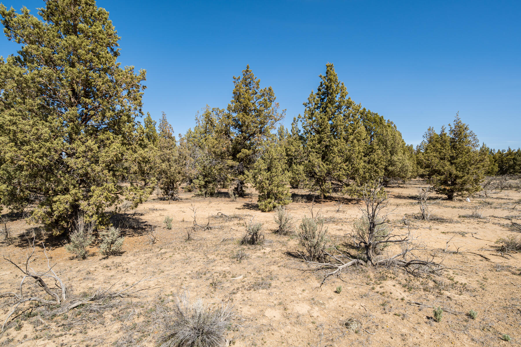 17945 SW Chaparral Drive, Lot 467