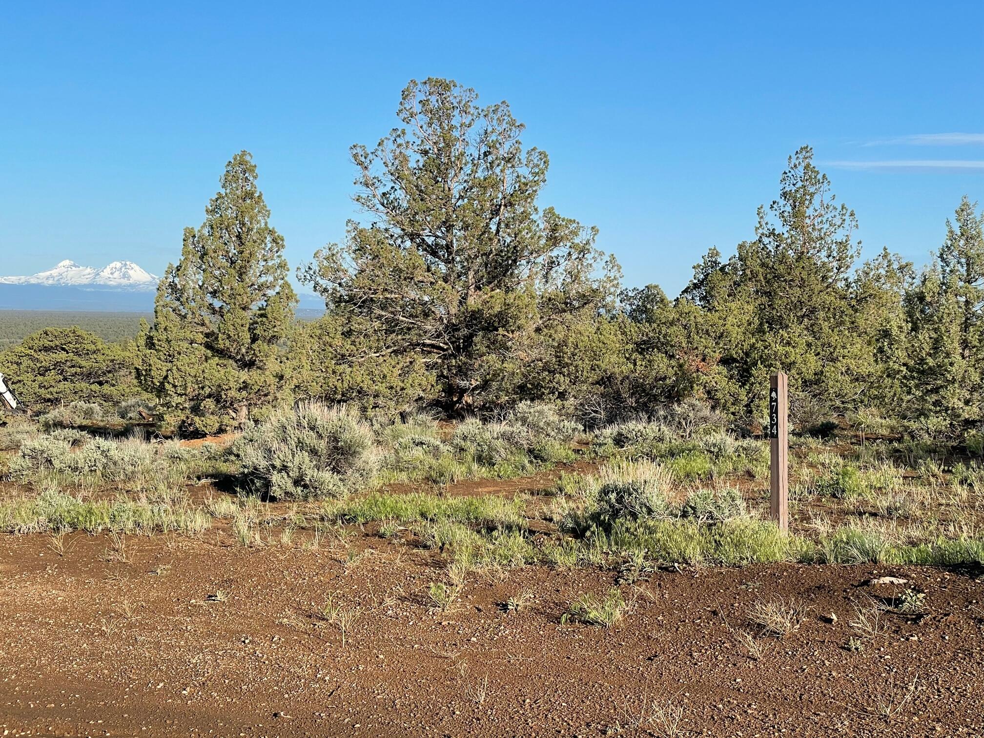 Lot 733 and 734 Brasada Ranch