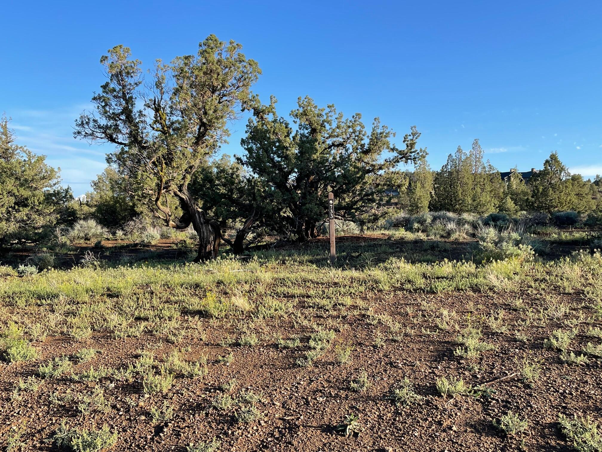 Lot 733 and 734 Brasada Ranch