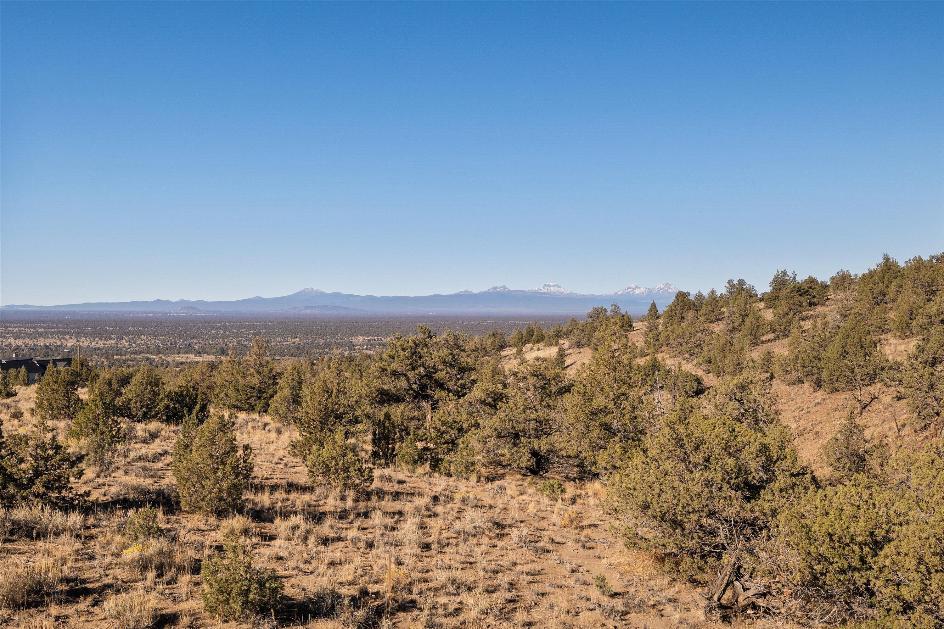 16543 SW Pinnacle Court, 697